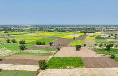 Commercial Plots & Land Opportunities in Tiruppur