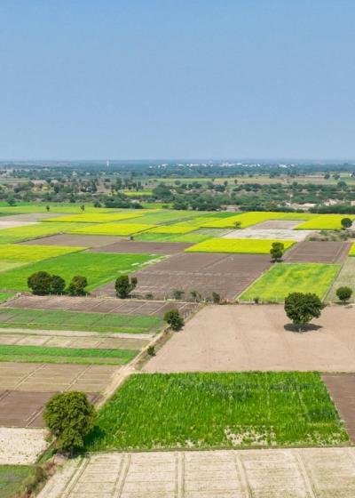 Commercial Plots & Land Opportunities in Tiruppur