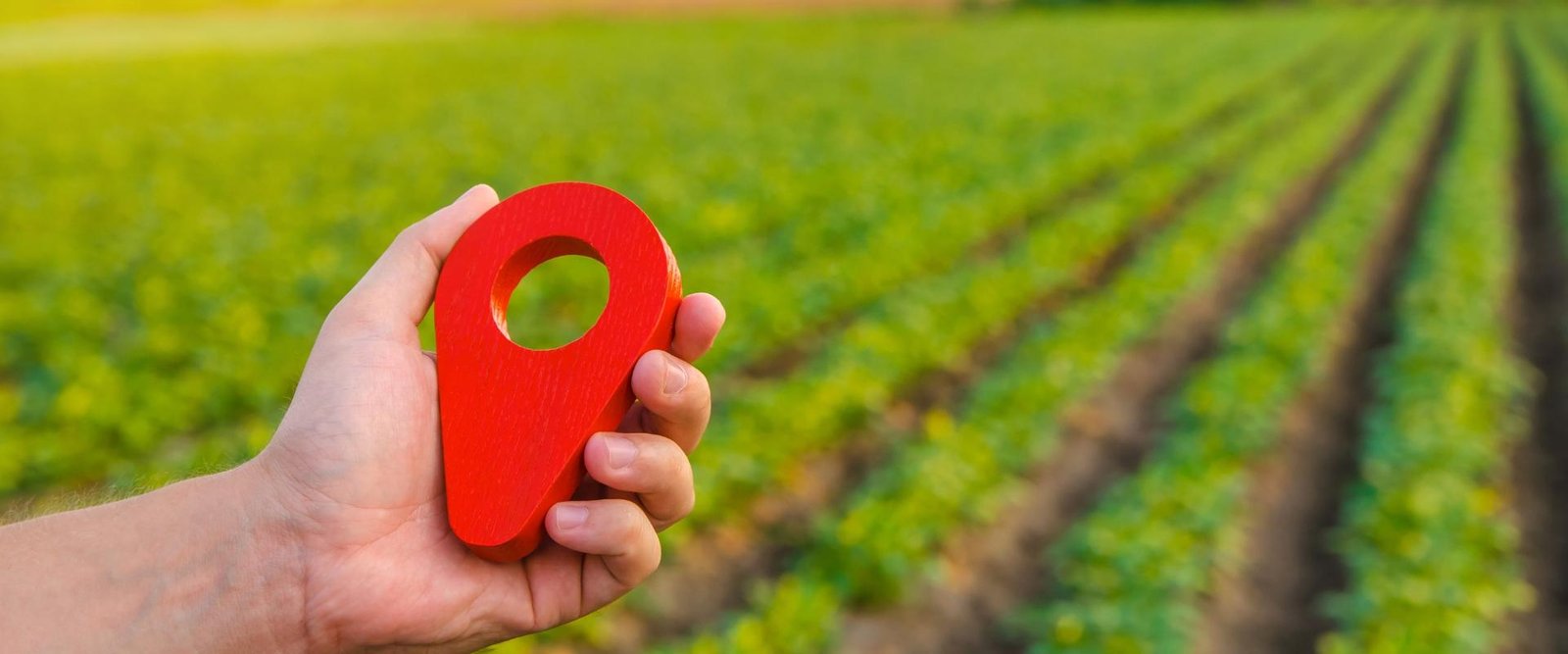 Approved Land for Investment in Tiruppur