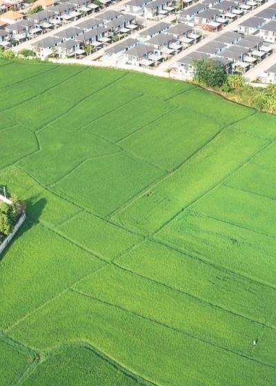 Premium Plots & Land for Sale in Tiruppur