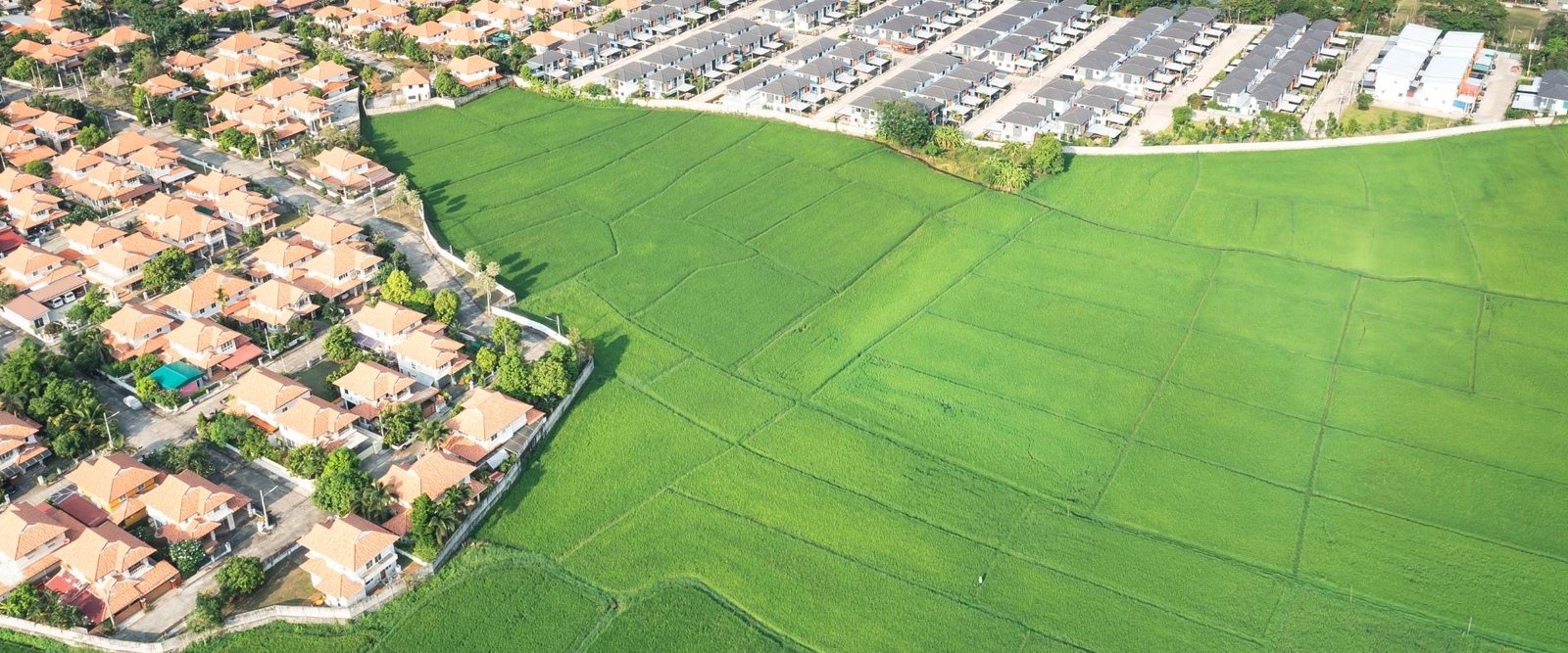 Premium Plots & Land for Sale in Tiruppur